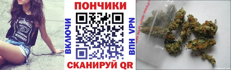 Шишки марихуана марихуана Купить Сковородино
